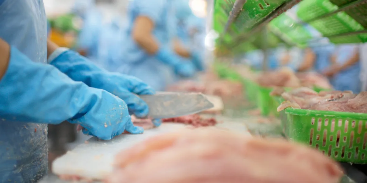 Vietnam seafood exports hit new high as US restrictions loom