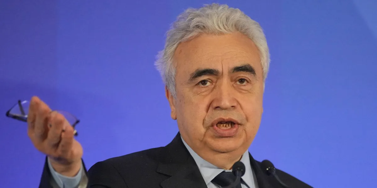 IEA’s Birol: Power demand surge to support gas in medium term
