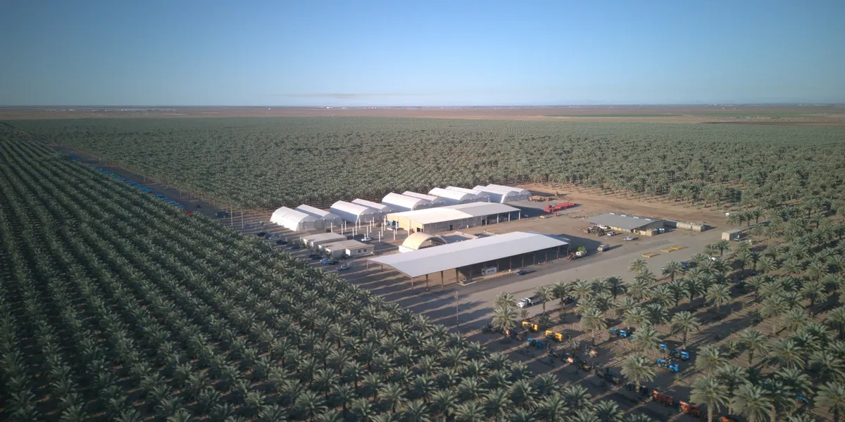 Ørkenvandring for Desert Control: Fullstendig kollaps i aksjeverdiene