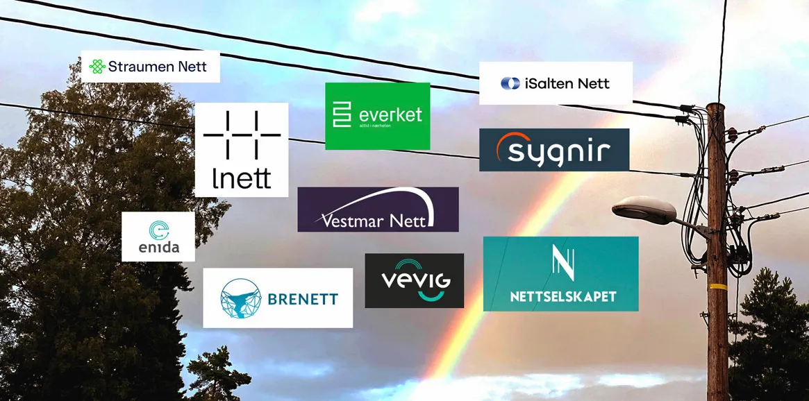 Nettselskapene omprofilerer seg i høyt tempo - 31 nye navn så langt