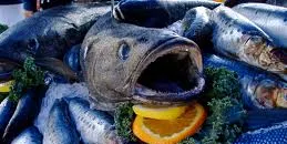 Alaska sablefish fishery re-certified to RFM | Intrafish