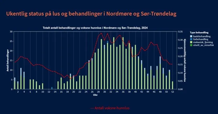 Figur 3, fra lusedata.no. Ukentlig status på lus og behandlinger i PO6 gjennom 2024.