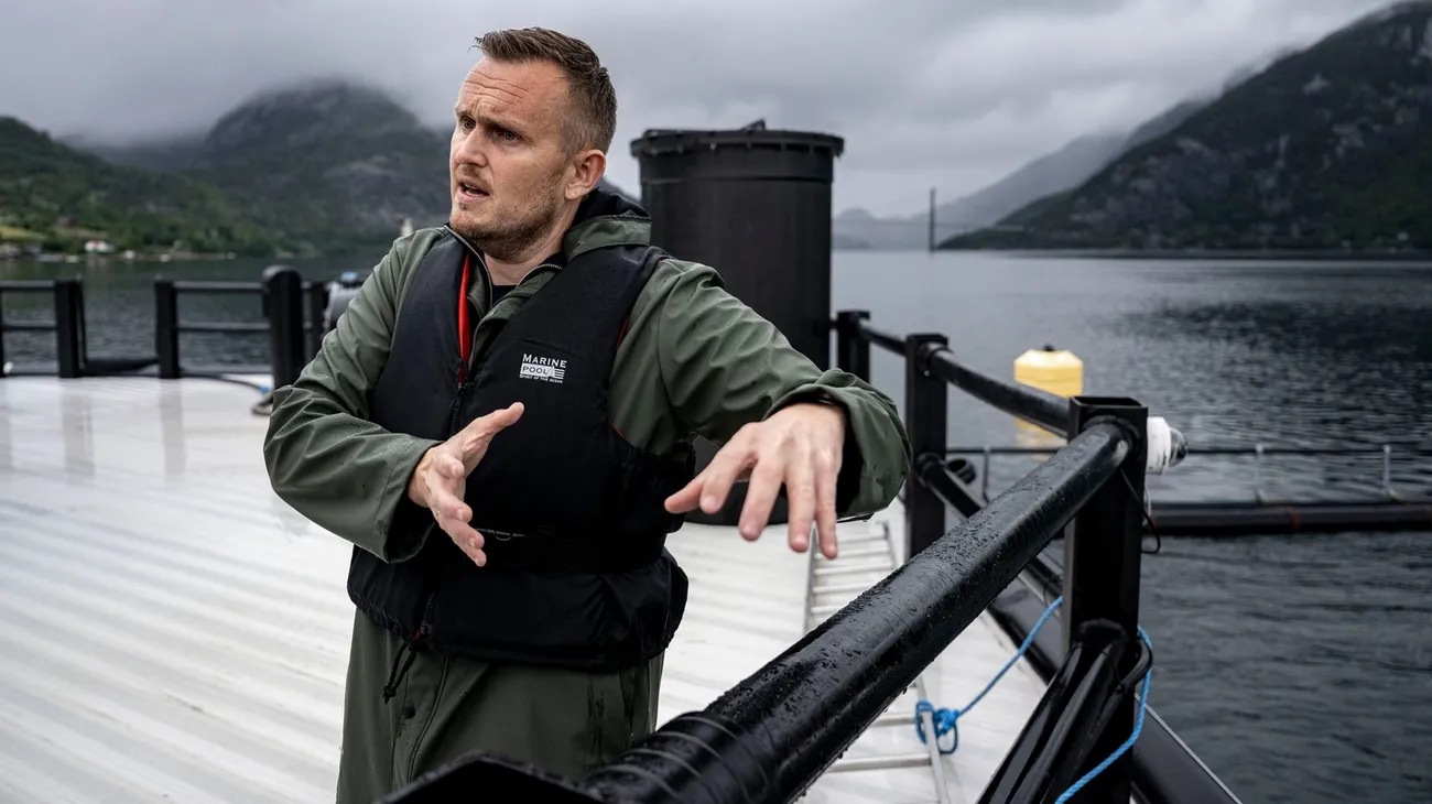 Fishglobe satser i Saudi-Arabia – norske myndigheter er bekymret for prosjektet
