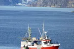 Fiske etter rømt oppdrettslaks i Kvenvika, innerst i Altafjorden, ei mil fra Alta.
