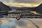 Solnedgang over lakselokalitet lengst sør i verden. Illustrasjonsfoto: Nova Austral