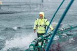 Det familieeide lakseselskapet Måsøval Fiskeoppdrett på Frøya i Trøndelag ble børsnotert i juni 2021.
