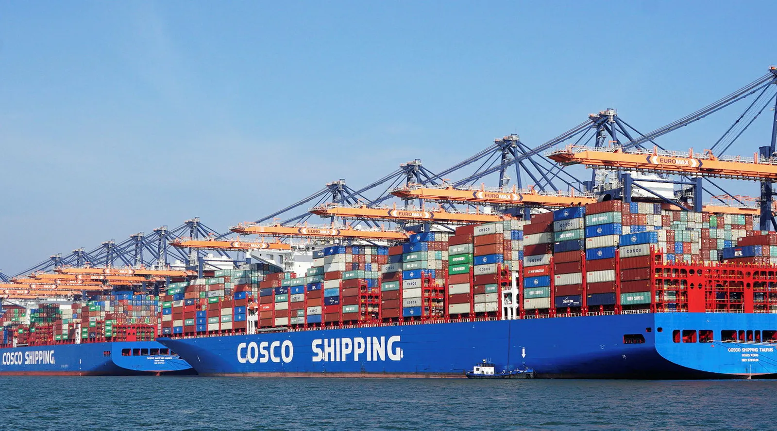 AND ゴンザレス様 3点セット Container SEA Box WIND