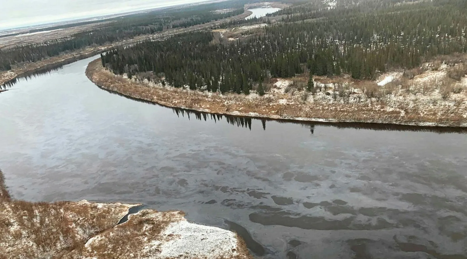 Mast yigitni dugonalari sikishdi