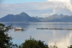 Lokaliteten Dragnes ligger ved Hadseløya i Vesterålen og tilhører Nordlaks.