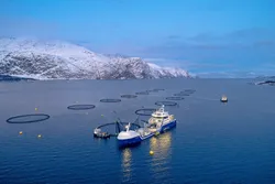 Brønnbåt ved oppdrettsanlegget Lerøy Årøya i Lyngenfjorden.