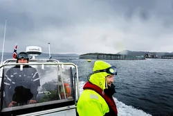 Tidligere administrerende direktør hos Lerøy Midt, Sven Amund Fjeldvær (gult) på vei ut til et oppdretts anlegg. Ett av flere oppdrettsanlett Lerøy har rundt Hitra. Hitra og Frøya regionen har gjort det bra i kommune kåringen, mye takket være deres beliggenhet som er ideelle for oppdretts næringen som skaper store ringvirkninger.