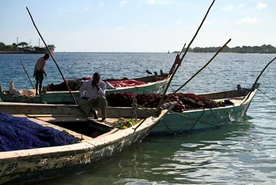 Aminex lands Tanzania contract extension